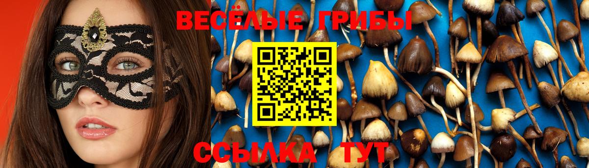 магазин продажи наркотиков  Галлюциногенные грибы MAGIC MUSHROOMS  Вход с VPN  Галлюциногенные грибы MAGIC MUSHROOMS  Севастополь 